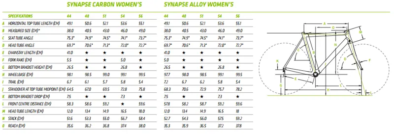 Synapse Womens Geometry